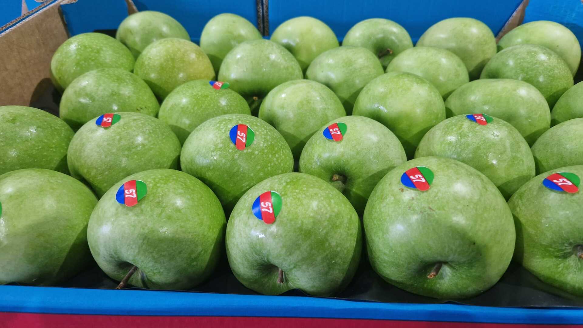 zenitfruit.com - Zenit fruit Srbija